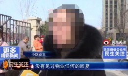 石家庄物业最新爆料,揭秘小区管理背后的真相