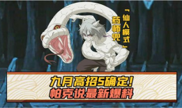 9月高招s忍揭秘帕克说最新爆料,帕克最新爆料大揭秘