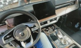 坦克600最新爆料内饰,豪华与科技并存，打造全新驾驶体验