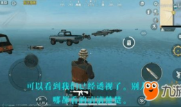 和平精英最新爆料bug,玩家体验大打折扣！