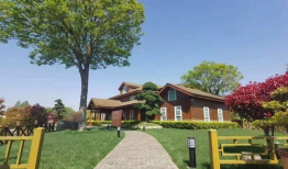 大方一中爆料事件最新消息,真相逐步浮出水面，最新进展揭秘